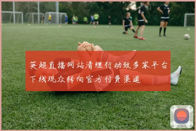 英超直播网站清理行动致多家平台下线观众转向官方付费渠道