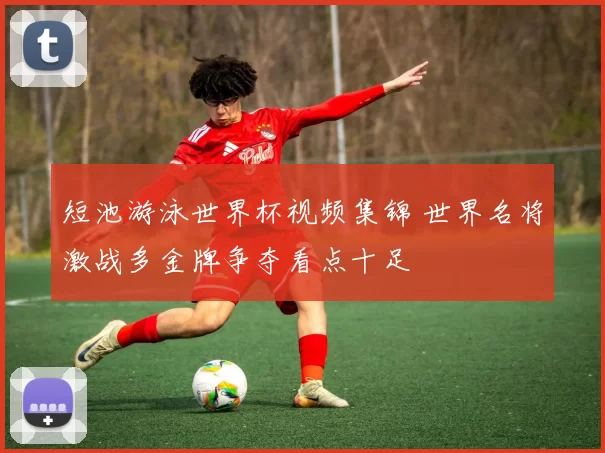 短池游泳世界杯视频集锦 世界名将激战多金牌争夺看点十足