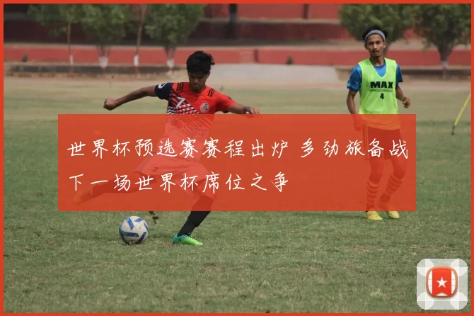 世界杯预选赛赛程出炉 多劲旅备战下一场世界杯席位之争