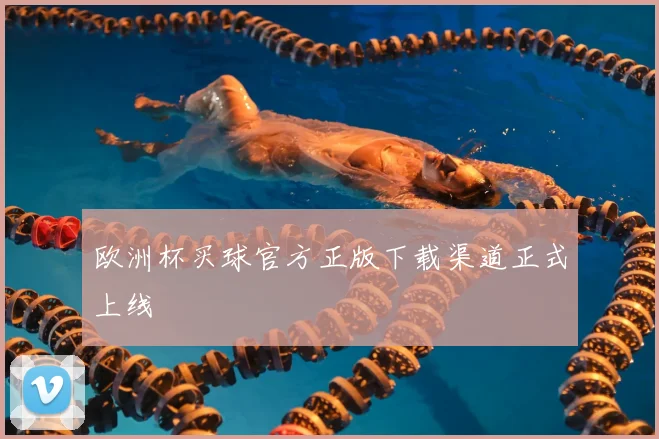 欧洲杯买球官方正版下载渠道正式上线