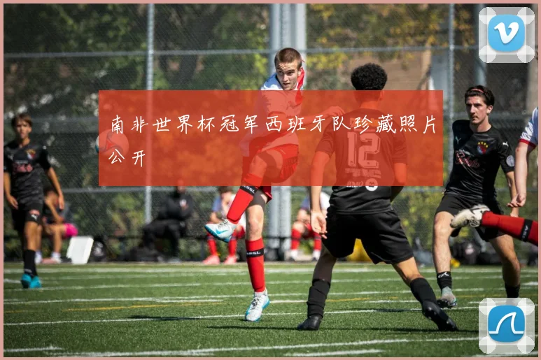 南非世界杯冠军西班牙队珍藏照片公开