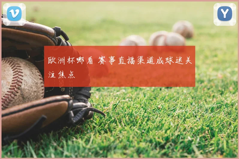 欧洲杯哪看 赛事直播渠道成球迷关注焦点