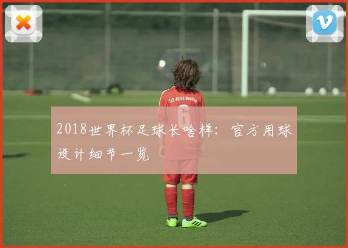 2018世界杯足球长啥样：官方用球设计细节一览