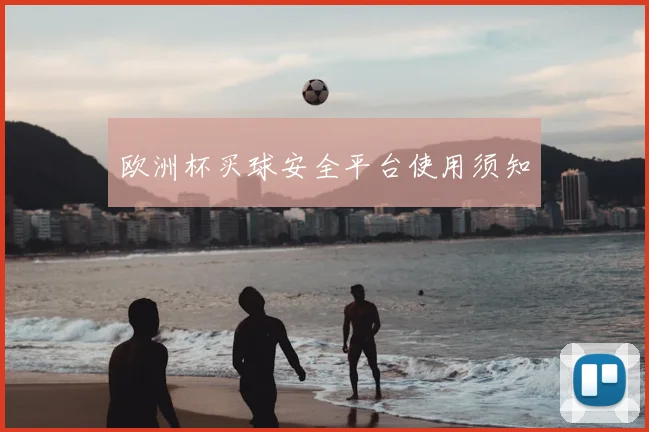 欧洲杯买球安全平台使用须知