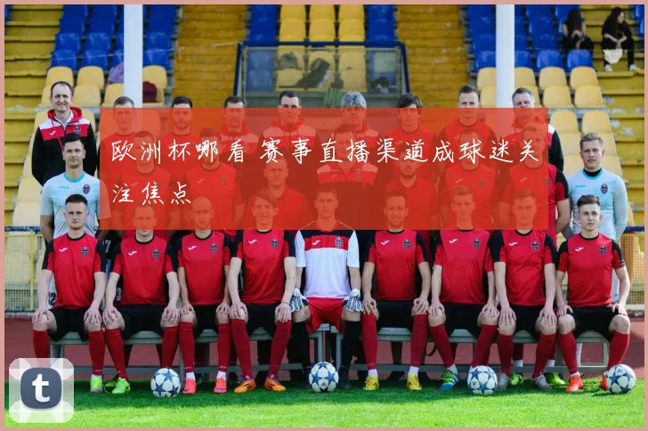 欧洲杯哪看 赛事直播渠道成球迷关注焦点